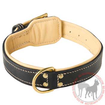 Dog Leather Collar with Comfy Padding