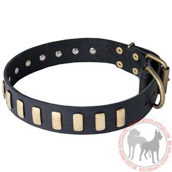 Dog Leather Collar with Riveted Brass Plates