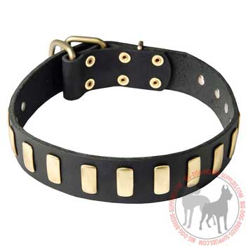 Dog Leather Collar with Riveted Brass Buckle and D-ring