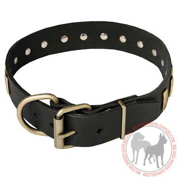 Dog Collar Leather with Massive D-ring for Leash Attachment