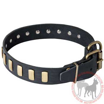 Dog Collar Leather with Rust Resistant Rivets