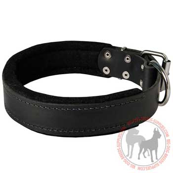 Dog leather collar wide for training walking