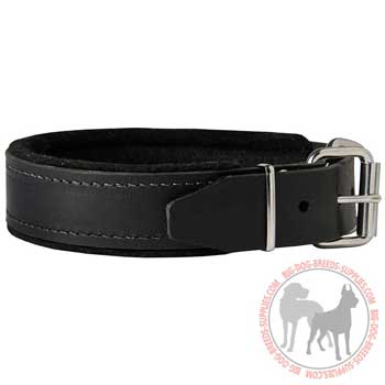 Leather dog collar with easy release buckle