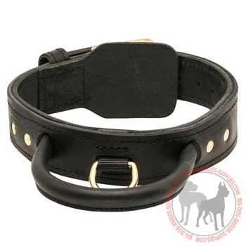 Leather dog collar with handle