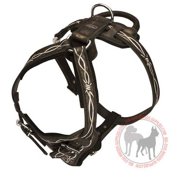 Leather dog harness with easy quick release buckle