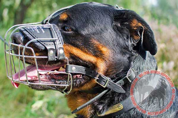 Wire Rottweiler Muzzle Cage with Good Air Circulation