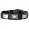 Big Dogs Collar Of Leather Decorated With Nickel Plates