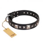 'Space Walk' FDT Artisan Black Leather Dog Collar with Adornments for Walking Big Dog Breeds