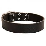 Practical Leather Canine Collar for Daily Activities