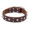 "Blackbeard" Leather Dog Collar with Skulls and Spikes Decor