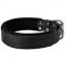 Attack Training Leather Dog Collar with Inner Padding