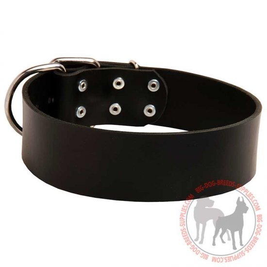 wide leather dog collars
