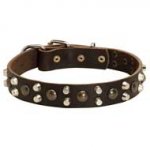New Impressive Leather Dog Collar with Pyramids and Studs