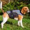 Nylon Puppy Harness of Vest Type for Rehabilitation and Warming