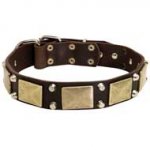 Dog Collar With Decoration Of Brass Plates And Cones