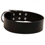 Adjustable Extra Wide Leather Dog Collar for Walking or Training