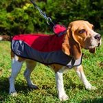 NylonHarness with Stand Up Collar for Winter Walking and Training Small Breed Dogs and Puppies