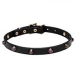 "Age of Style" Natural Leather Dog Collar with Cones Adornment