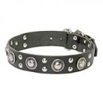 'Rock n Roll' Leather Dog Collar with Stud Decorations