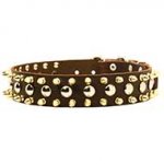New Gorgeous Leather Dog Collar with Spikes and Studs
