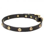 "Stamped Studs" Leather Dog Collar with Brass Hardware and Adornment