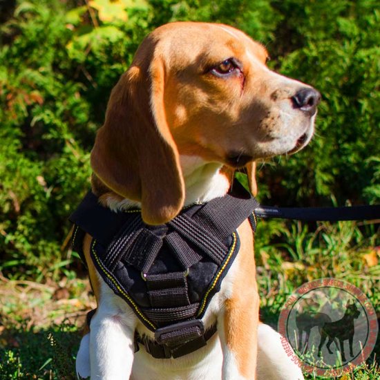 sar dog harness
