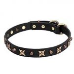 "Four Cornered Stars" Leather Dog Collar with Bronze-plated Adornment