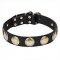 "Hip and Edgy" Leather Dog Collar with Royal Color Brass Circles