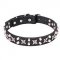 "Shining Stars" Imposing Leather Dog Collar with Firm Hardware - 1 1/5 inch (30 mm) Wide