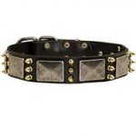 Designed Leather Dog Collar For Stylish Pet Owners and Their Canines
