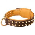 Walking Nappa Leather Dog Collar with Spikes