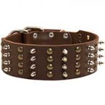 Gorgeous Extra Wide Leather Dog Collar with Spikes and Studs