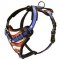 Training Leather Handpainted Dog Harness