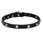 "A La Mode" Dog Collar of Natural Leather and Studs Decoration - 3/4 Inch (20 mm) Wide