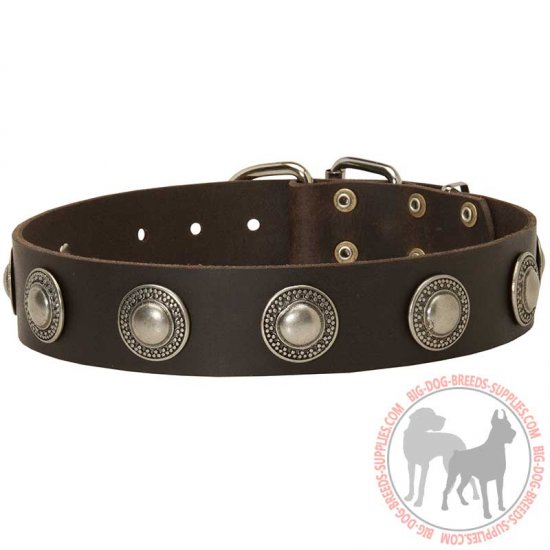 western concho dog collars