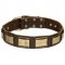 Unusually Decorated Leather Dog Collar With Brass Plates