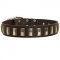 Designer Leather Dog Collar with Amazing Brass Plates