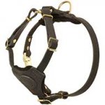 Training and Walking Puppy Leather Dog Harness