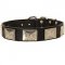 Leather Dog Collar with Massive Nickel Plates Vintage Looking