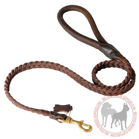 braided dog harness