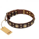 'Flower Melody' FDT Artisan Brown Leather Dog Collar with Mixed Studs for Everyday Walking