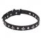 "Pleiades" Leather Dog Collar with Stars and Studs - 1 inch (25 mm) Wide