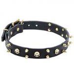 "Heavy Metal" Leather Dog Collar with Spikes and Skulls Decoration