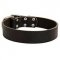 Practical Leather Canine Collar for Daily Activities