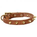 Walking and Training Spiked Leather Dog Collar