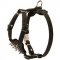 Decorated Leather Dog Harness For Your Puppy