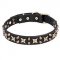 "Hollywood Star" Leather Dog Collar with Bronze Plated Fittings