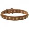 Awesome Leather Canine Collar with 1 Row of Nickel Studs 25 mm wide