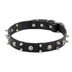 "Jolly Roger" Leather Dog Collar with Skulls and Spikes Decoration