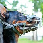 Felt Padded Wire Cage Doberman Muzzle for Walking
